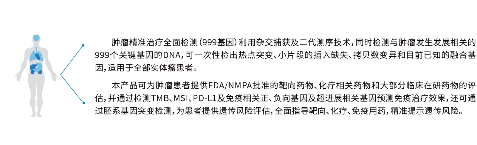 产品介绍.jpg